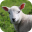 Lambpost